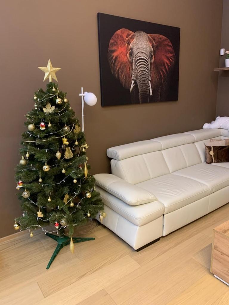 Apartment Dagmar Buresove Прага Экстерьер фото